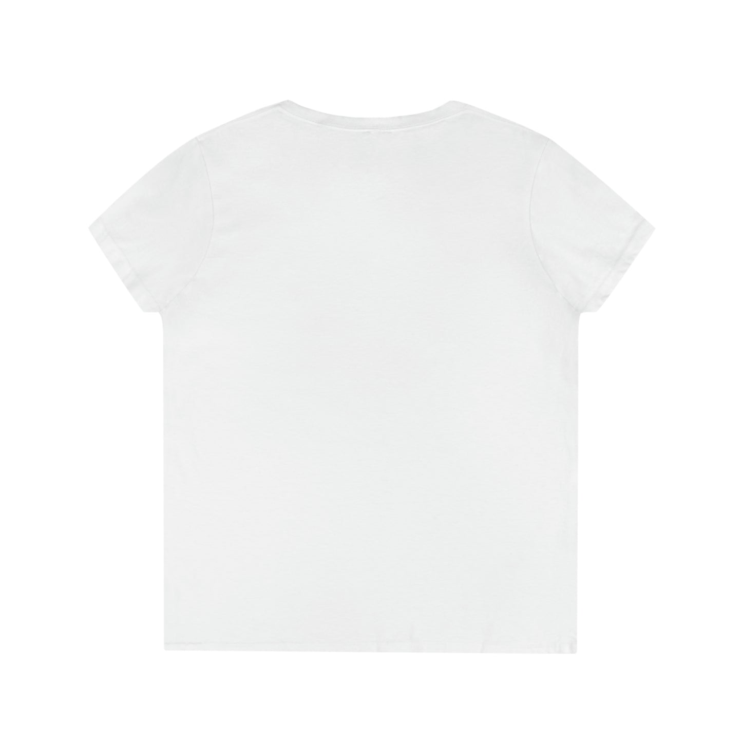 Ladies' V-Neck T-Shirt